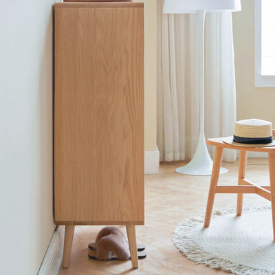 Brielle Shoe Cabinet