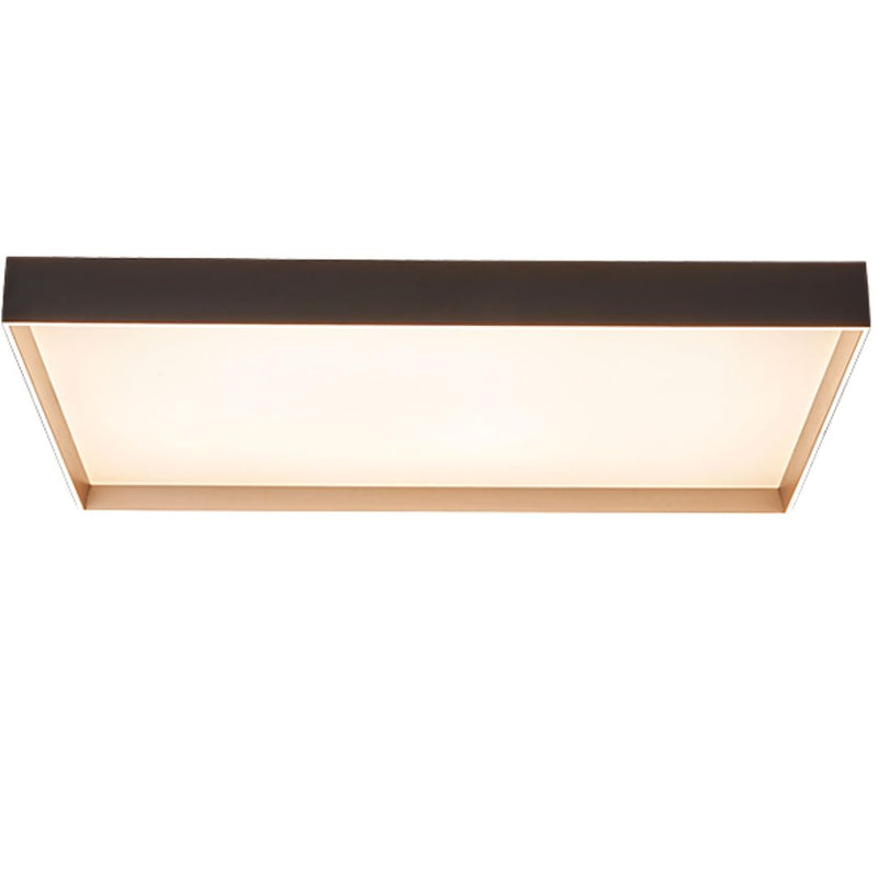 Lumiel Modern Rectangle Ceiling Light