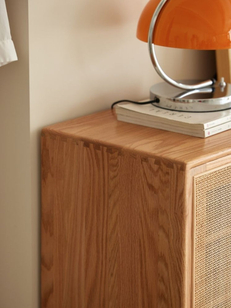 Versa Rattan-Weave Door Shoe Storage Cabinet
