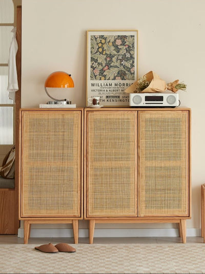 Versa Rattan-Weave Door Shoe Storage Cabinet