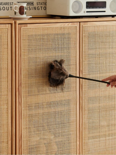 Versa Rattan-Weave Door Shoe Storage Cabinet