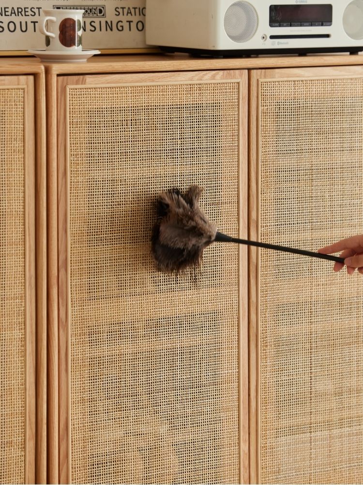 Versa Rattan-Weave Door Shoe Storage Cabinet