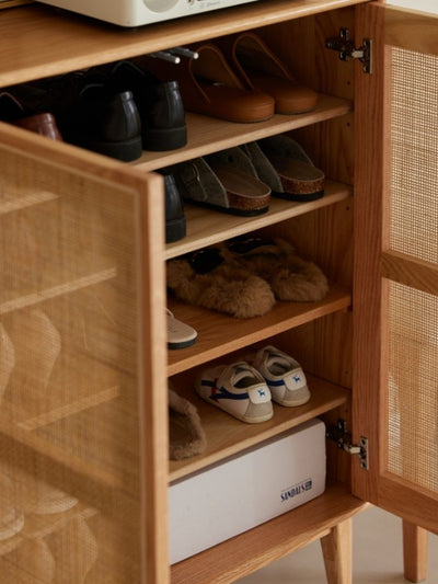 Versa Rattan-Weave Door Shoe Storage Cabinet