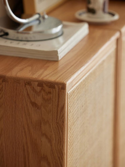 Versa Rattan-Weave Door Shoe Storage Cabinet