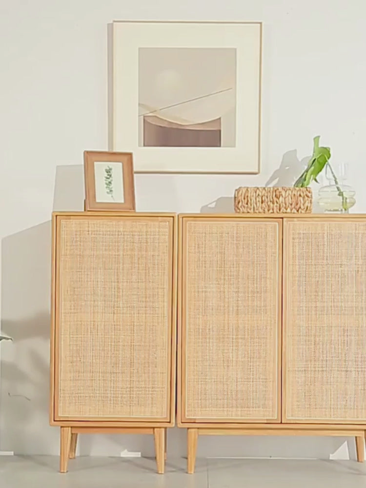 Versa Rattan-Weave Door Shoe Storage Cabinet