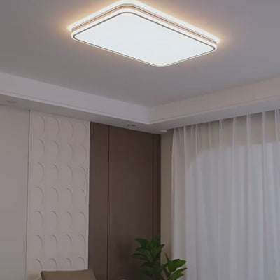 Aelius Modern Rectangle Ceiling Light